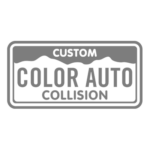 custom color auto logo