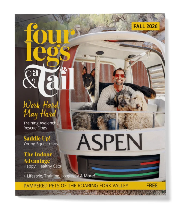 Four Legs and a Tail | Fall 2026